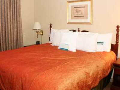 Hotel Homewood By Hilton Airport Charlotte